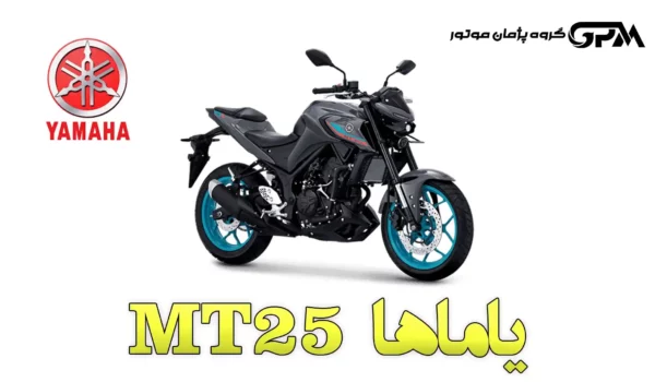 Yamaha MT25 gpm company.ir