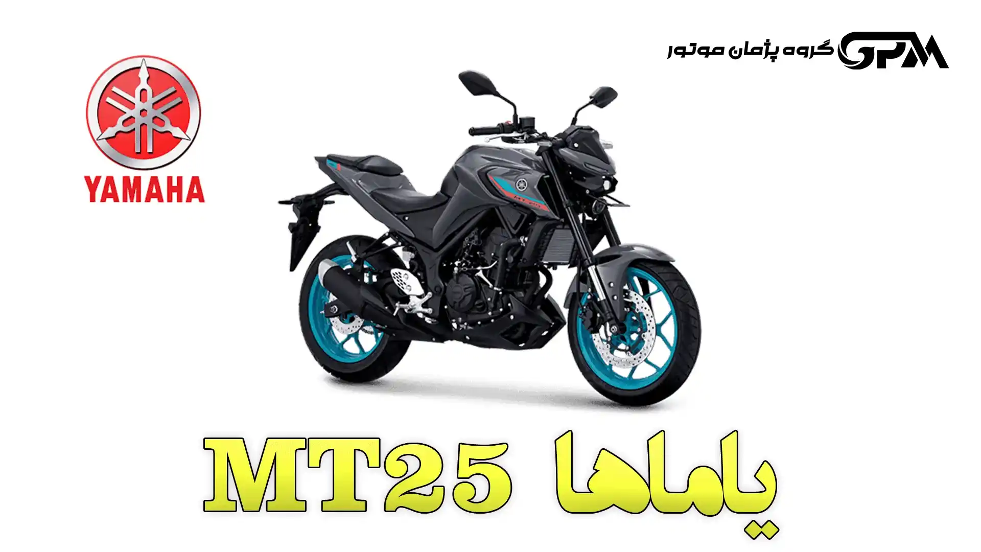 Yamaha MT25 gpm company.ir