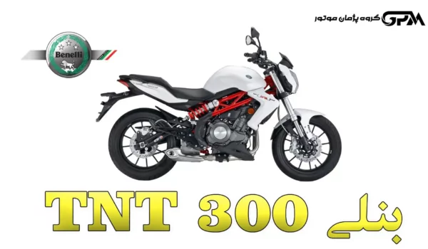 Benelli TNT 300